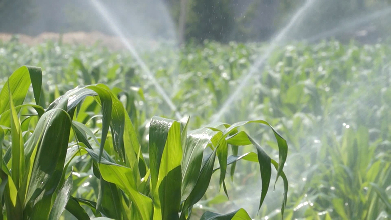 Agricultural Pump Systems for Today’s Modern Irrigation